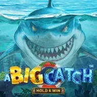 A Big Catch - Hold & WinBsg screenshot